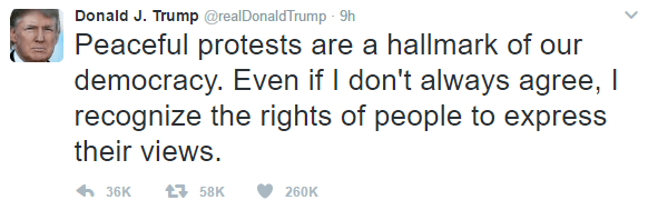 DJTrumpOnProtest.png